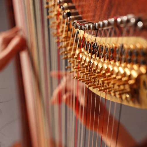 Journées de la harpe