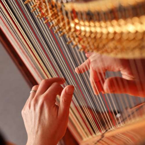 Audition de harpe