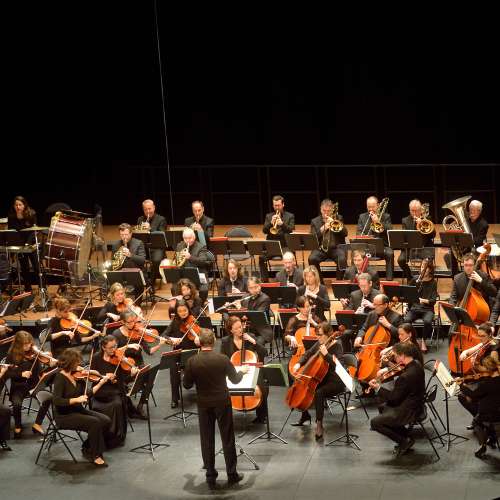 Concert du Nouvel An par la Camerata du Havre