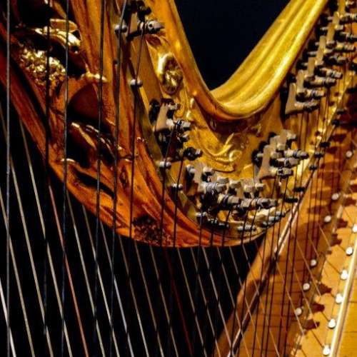 Audition de harpe
