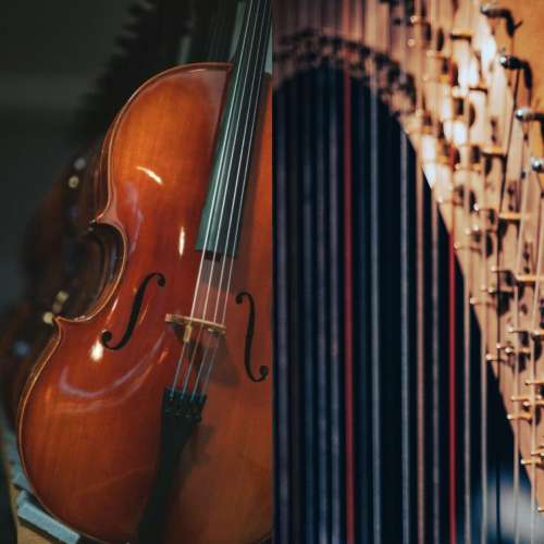 Audition de harpe et violoncelle