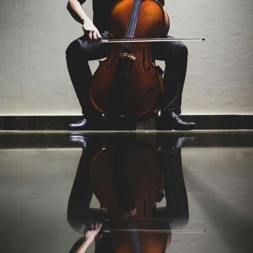 Audition de violoncelle