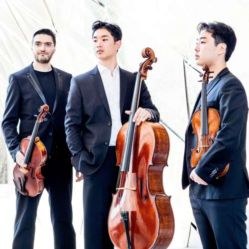 Trio Arnold, Vienna