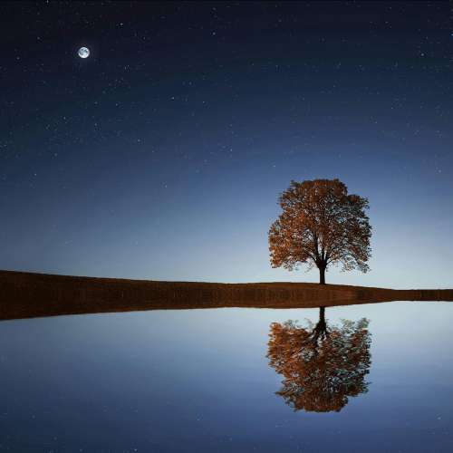 Entre terre et songes, par l'Orchestre d'Harmonie Divertimento