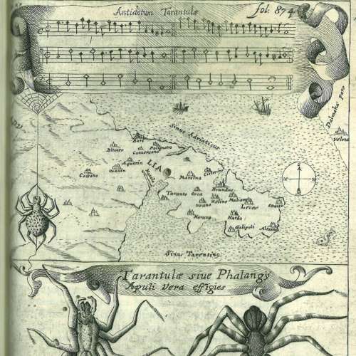 Tarentu.elle, ode pour un arthropode