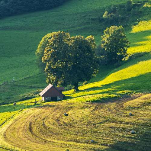 Je suis trop vert, de David Lescot