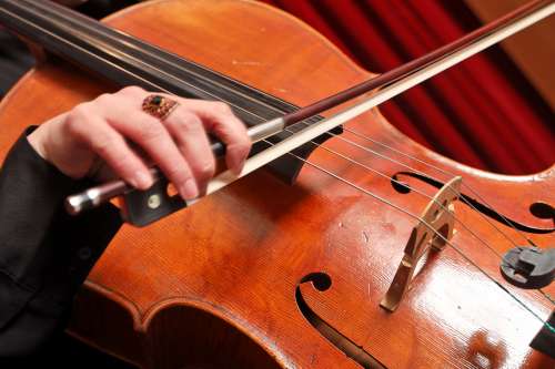 le violoncelle