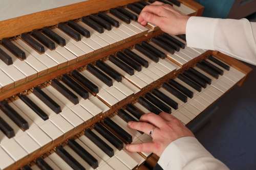 l'orgue