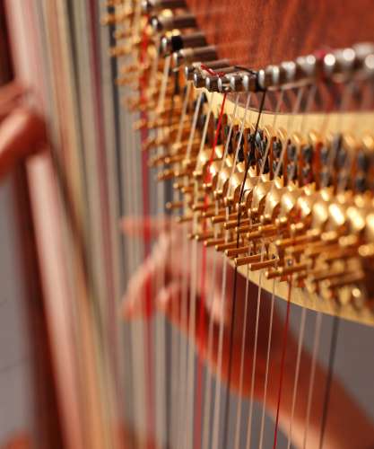 Journées de la harpe