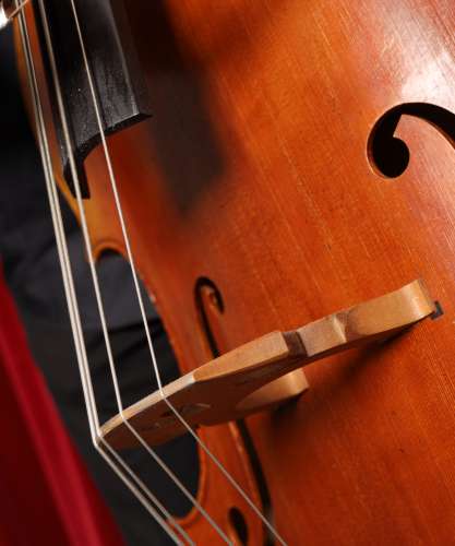 AUDITION DE CONTREBASSE
