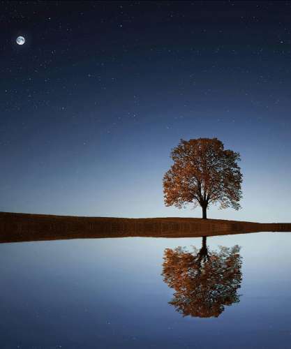 Entre terre et songes, par l'Orchestre d'Harmonie Divertimento