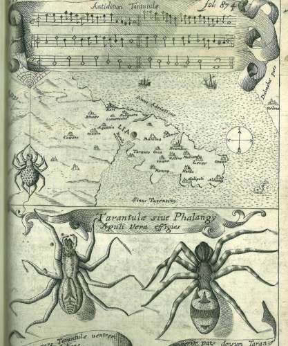 Tarentu.elle, ode pour un arthropode